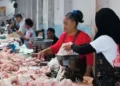Salah seorang warga saat membeli daging ayam di komplek los ikan dan daging ayam komplek Pasar Raya Salatiga, Sabtu, 26 September 2026. (Angga Rosa/Lingkarjateng.id)