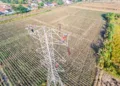 Petugas PLN UPT Purwokerto memperkuat keandalan sistem penyaluran tenaga listrik di SUTT Comal–Pemalang. (dok for Lingkarjateng.id)