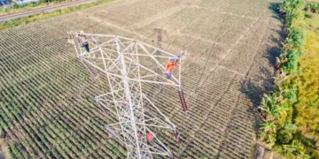 Petugas PLN UPT Purwokerto memperkuat keandalan sistem penyaluran tenaga listrik di SUTT Comal–Pemalang. (dok for Lingkarjateng.id)