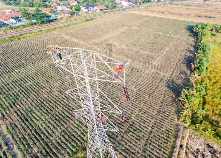 Petugas PLN UPT Purwokerto memperkuat keandalan sistem penyaluran tenaga listrik di SUTT Comal–Pemalang. (dok for Lingkarjateng.id)