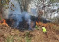 Kebakaran lahan di kabupaten Pekalongan beberapa waktu lalu. Foto : Dok.Polres Pekalongan for Lingkar
