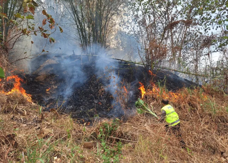 Kebakaran lahan di kabupaten Pekalongan beberapa waktu lalu. Foto : Dok.Polres Pekalongan for Lingkar