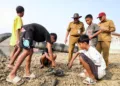 Pemprov Jateng menyiapkan penanganan untuk mengatasi bangkai ikan sapu-sapu di Bendung Karet Juwana. (Dok. Pemprov Jateng/Lingkarjateng.id)