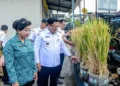 Wali Kota Salatiga Robby Hernawan meninjau produksi padi pot di Kelurahan Randuacir, Kecamatan Argomulyo, Rabu, 9 September 2026. (Dok Prokompim Setda Salatiga/Lingkarjateng.id)
