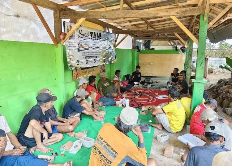 Para petani mengikuti kursus tani yang diselenggarakan Dinas Ketahanan Pangan dan Pertanian di Desa Sidomukti, Kecamatan Karanganyar, Kamis, 24 September 2026. (Fahri Akbar/Lingkarjateng.id)