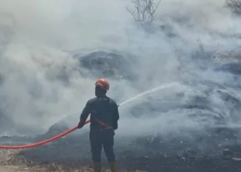 Petugas memadamkan bara api yang membakar Tempat Pembuangan Akhir (TPA) Darupono lama, Kecamatan Kaliwungu Selatan, Kabupaten Kendal, Minggu 13 September 2026. (dok for Lingkarjateng.id)