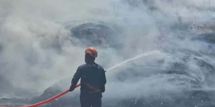Petugas memadamkan bara api yang membakar Tempat Pembuangan Akhir (TPA) Darupono lama, Kecamatan Kaliwungu Selatan, Kabupaten Kendal, Minggu 13 September 2026. (dok for Lingkarjateng.id)