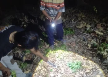 Petugas saat melakukan olah TKP tewasnya warga Kecamatan Geyer, Kabupaten Grobogan, meninggal dunia setelah tersengat aliran listrik. (Dok. Polres Grobogan/Lingkarjateng.id)