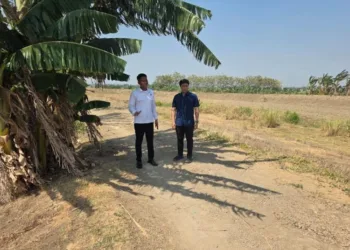 Polres Grobogan melakukan olah TKP kasus dugaan penganiayaan anak di Desa Curug, Kecamatan Tegowanu, Selasa, 22 September 2026. (Dok. Pribadi/Lingkarjateng.id)