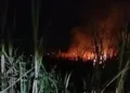 Kebakaran lahan tebu di Desa Gemiring Lor, Kecamatan Nalumsari, Jepara, pada Rabu 16 September 2026. (Dok. Damkar Jepara/Lingkarjateng.id)