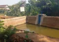 Debit air embung di Desa Bringin, Kecamatan Batealit, Kabupaten Jepara menyusut imbas kemarau panjang. (Tomi Budianto/Lingkarjateng.id)