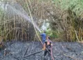 Petugas Damkar Pati memadamkan kebakaran lahan. (Dok. for Lingkarjateng.id)
