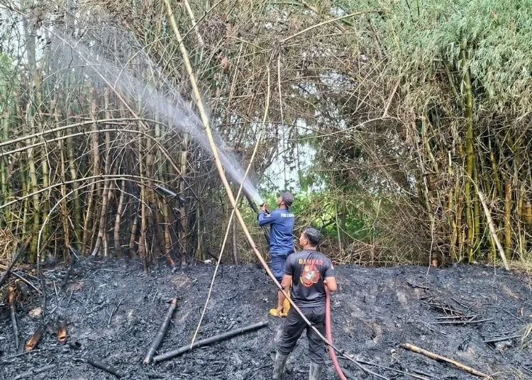 Petugas Damkar Pati memadamkan kebakaran lahan. (Dok. for Lingkarjateng.id)
