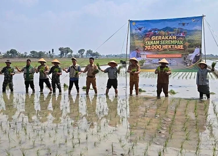 Gerakan Tanam 70.000 Hektare Optimalisasi Lahan (Oplah) yang dipusatkan di Desa Sumublor, Kecamatan Sragi, Kabupaten Pekalongan, Jawa Tengah, Senin, 31 Agustus 2026. (Fahri Akbar/Lingkarjateng.id)