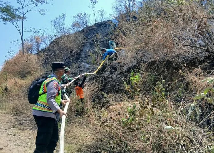 Petugas gabungan melakukan pengecekan dan pendinginan di kawasan hutan Perhutani RPH Sigugur, Desa Bubak, Kecamatan Kandangserang, Kabupaten Pekalongan, Minggu, 20 September 2026. (Dok. Polres Pekalongan/Lingkarjateng.id)