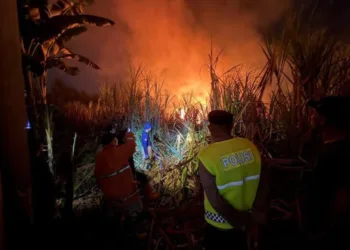 Petugas pemadam kebakaran bersama personel kepolisian dan warga melakukan pemadaman serta pendinginan kebun tebu yang terbakar di Desa Kemasan, Kecamatan Bojong, Kabupaten Pekalongan, Senin,  28 September 2026 dini hari. (Dok. Polres Pekalongan/Lingkarjateng.id)