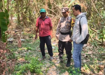 Polsek Pedurungan melakukan penyelidikan terkait kasus penemuan bayi  di pekarangan kosong, Perum Banpres, RT 01/RW 02, Kelurahan Tlogomulyo, Kecamatan Pedurungan, Kota Semarang, Selasa, 29 September 2026. (Dok. Polsek Pedurungan/Lingkarjateng.id)
