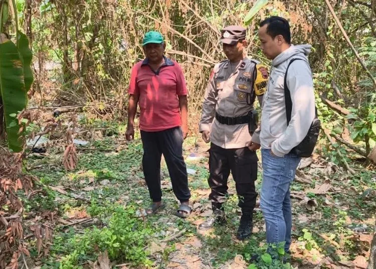 Polsek Pedurungan melakukan penyelidikan terkait kasus penemuan bayi  di pekarangan kosong, Perum Banpres, RT 01/RW 02, Kelurahan Tlogomulyo, Kecamatan Pedurungan, Kota Semarang, Selasa, 29 September 2026. (Dok. Polsek Pedurungan/Lingkarjateng.id)