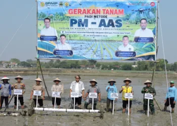 Gerakan Tanam Bersama dengan metode PM-AAS digelar di lahan sawah Desa Candisari, Kecamatan Purwodadi, Grobogan, Rabu (30/9/2026). Foto : Lingkar Network/Abror