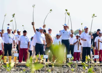 Desa Timbulsloko Jadi Percontohan Perlindungan Pesisir Pantura Demak. Foto :Lingkar Network/Burhan