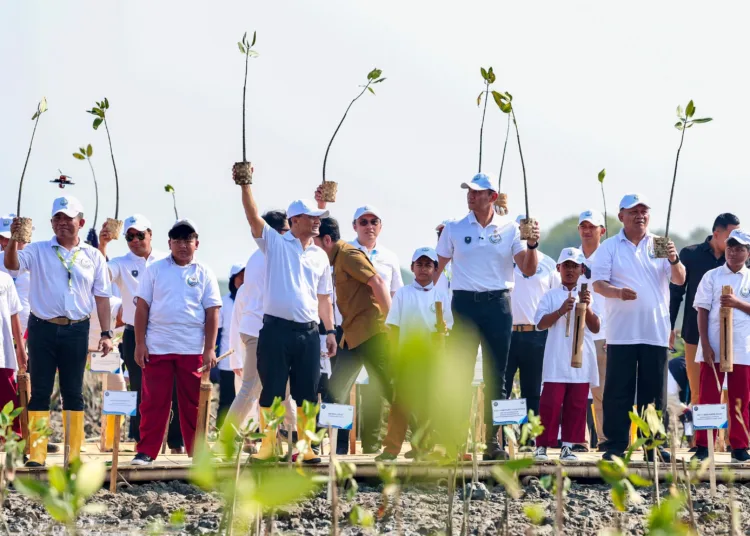 Desa Timbulsloko Jadi Percontohan Perlindungan Pesisir Pantura Demak. Foto :Lingkar Network/Burhan