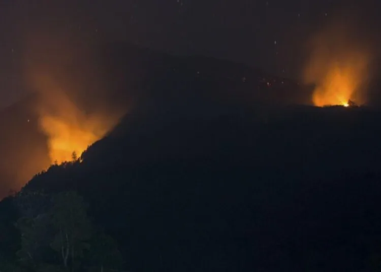 Tampak api berkobar di lereng Gunung Lawu, Kabupaten Karanganyar. (Antara/Lingkarjateng.id)