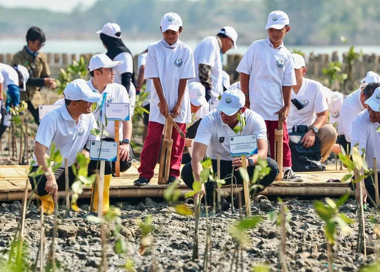 Menteri Koordinator Bidang Infrastruktur dan Pembangunan Kewilayahan Agus Harimurti Yudhoyono didampingi Gubernur Jawa Tengah Ahmad Luthfi menanam mangrove di Desa Timbulsloko, Kecamatan Sayung, pada Senin, 19 Oktober 2026. (Humas Pemprov Jateng/Lingkarjateng.id)