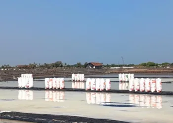 POTRET: Lahan produksi garam di Desa Babalan, Kecamatan Wedung, Kabupaten Demak. (dok for Lingkarjateng.id)