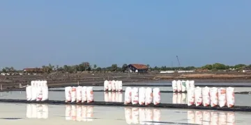 POTRET: Lahan produksi garam di Desa Babalan, Kecamatan Wedung, Kabupaten Demak. (dok for Lingkarjateng.id)
