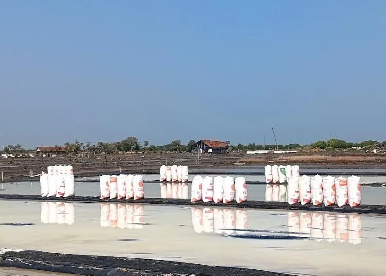 POTRET: Lahan produksi garam di Desa Babalan, Kecamatan Wedung, Kabupaten Demak. (dok for Lingkarjateng.id)