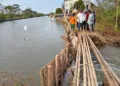 Wakil Ketua DPRD Kabupaten Pekalongan Sumar Rosul meninjau langsung kondisi tanggul Sungai Silempeng yang jebol di Kecamatan Siwalan, Jumat, 2 Oktober 2026. (Fahri Akbar/Lingkarjateng.id)