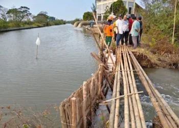Wakil Ketua DPRD Kabupaten Pekalongan Sumar Rosul meninjau langsung kondisi tanggul Sungai Silempeng yang jebol di Kecamatan Siwalan, Jumat, 2 Oktober 2026. (Fahri Akbar/Lingkarjateng.id)