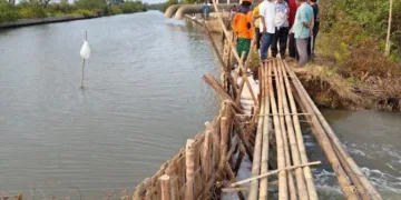 Wakil Ketua DPRD Kabupaten Pekalongan Sumar Rosul meninjau langsung kondisi tanggul Sungai Silempeng yang jebol di Kecamatan Siwalan, Jumat, 2 Oktober 2026. (Fahri Akbar/Lingkarjateng.id)