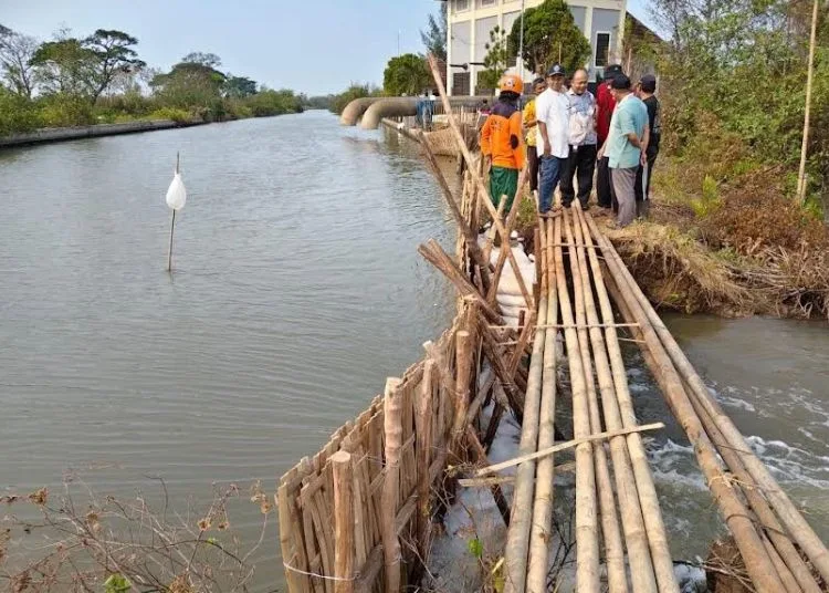 Wakil Ketua DPRD Kabupaten Pekalongan Sumar Rosul meninjau langsung kondisi tanggul Sungai Silempeng yang jebol di Kecamatan Siwalan, Jumat, 2 Oktober 2026. (Fahri Akbar/Lingkarjateng.id)