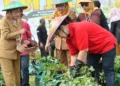 Wali Kota Semarang Agustina Wilujeng Pramestuti ikut panen ubi jalar di pekarangan warga Kelurahan Pudakpayung, Kecamatan Banyumanik pada Senin, 26 Oktober 2026. (dok for Lingkarjateng.id)
