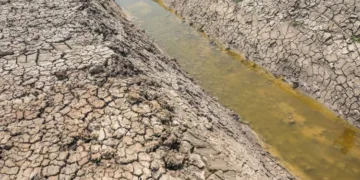 POTRET: Normalisasi saluran avur atau irigasi pertanian di Kecamatan Karangtengah, Kabupaten Demak, Senin, 19 Oktober 2026. (Humas Pemprov Jateng)