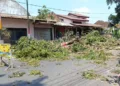 Ratusan pohon ditebang selama proses penataan drainase di kawasan Grobogan. (Dok. Pribadi/Lingkarjateng.id)
