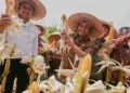 Gubernur Jawa Tengah Ahmad Luthfi saat Panen Raya Jagung di Desa Karanganyar, Kecamatan Weru, Sukoharjo, Kamis, 1 Oktober 2026. (Dok. Pemprov Jateng/Lingkarjateng.id)