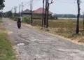 Kondisi jalan Desa Bumirejo, Kecamatan Margorejo, Kabupaten Pati menuju jalan lingkar selatan (JLS). (Lingkarjateng.id)