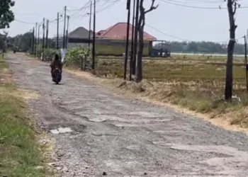 Kondisi jalan Desa Bumirejo, Kecamatan Margorejo, Kabupaten Pati menuju jalan lingkar selatan (JLS). (Lingkarjateng.id)