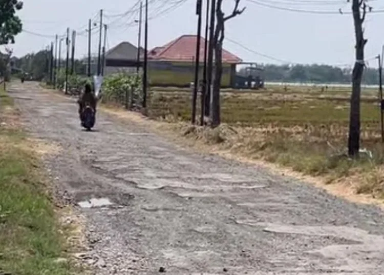 Kondisi jalan Desa Bumirejo, Kecamatan Margorejo, Kabupaten Pati menuju jalan lingkar selatan (JLS). (Lingkarjateng.id)