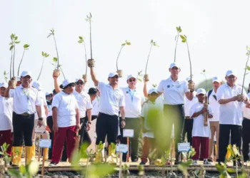 Gubernur Jawa Tengah Ahmad Luthfi bersama Menko Infrastruktur dan Pembangunan Kewilayahan Agus Harimurti Yudhoyono (AHY) saat menanam mangrove di Desa Timbulsloko, Demak, Senin, 19 Oktober 2026. (Humas Pemprov Jateng/Lingkarjateng.id)