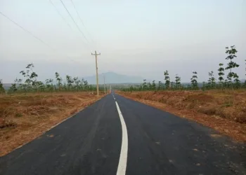 Ruas jalan Keling-Bumiharjo Kabupaten Jepara. (Tomi Budianto/Lingkarjateng.id)