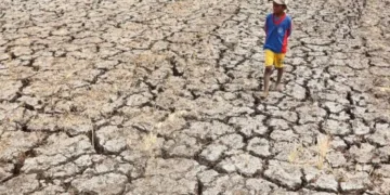 Ilustrasi seorang anak melintasi sawah yang terdampak kekeringan. (Antara)
