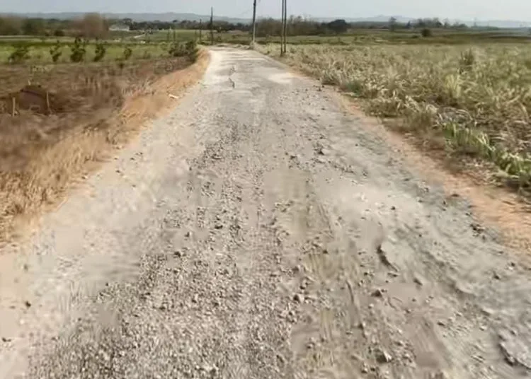 Ruas jalan Arumanis-Terteg, penghubung Kecamatan Jaken dan Pucakwangi, Kabupaten Pati. (Arif Febriyanto/Lingkarjateng.id)