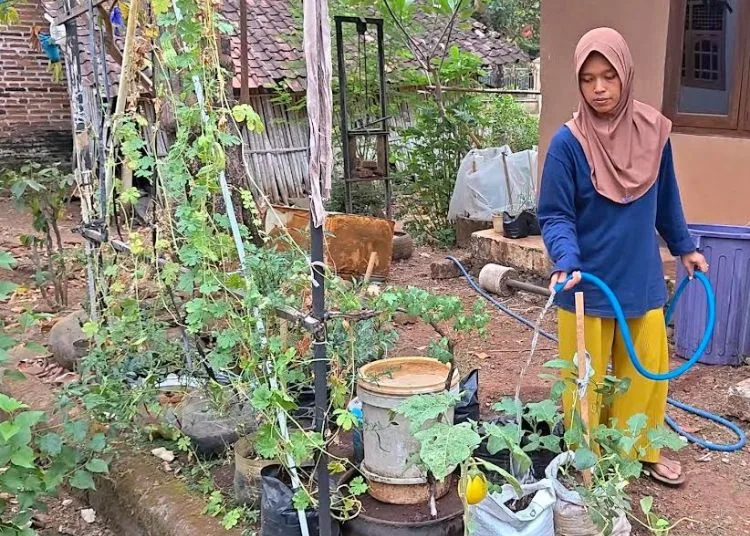 Ninda, anggota Bank Sampah Gejlik Apik menyirami tanaman sayuran di pekarangan rumahnya di Desa Gejlik, Kecamatan Kajen, Kabupaten Pekalongan, Sabtu, 17 Oktober 2026. (Fahri Akbar/Lingkarjateng.id)